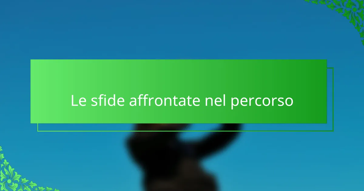 Le sfide affrontate nel percorso