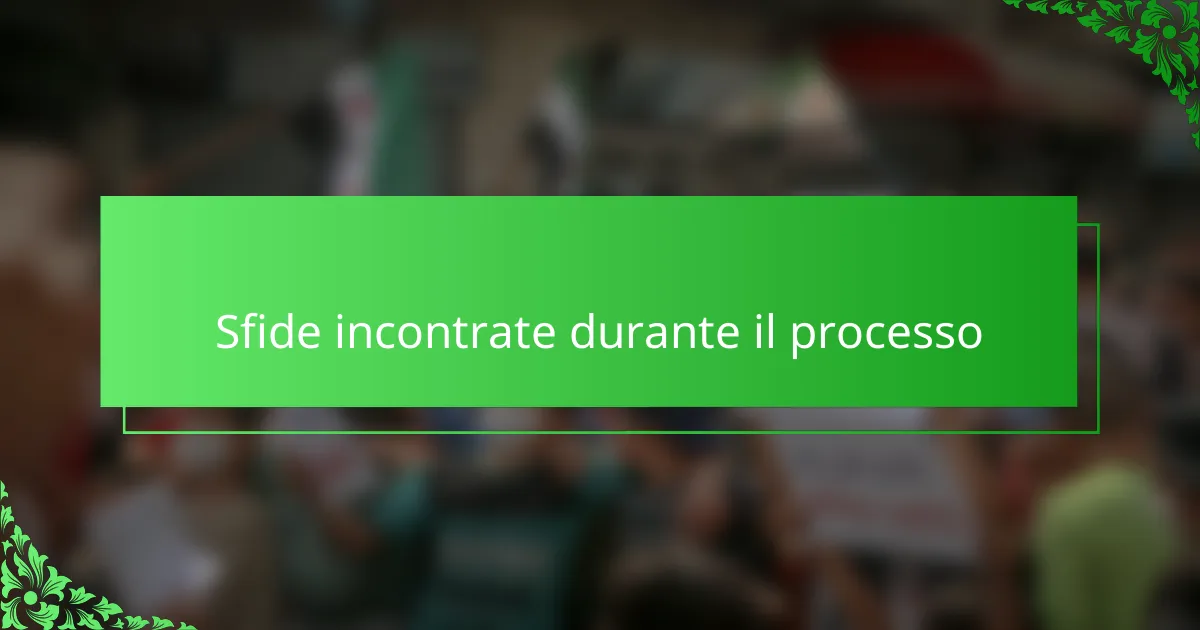 Sfide incontrate durante il processo